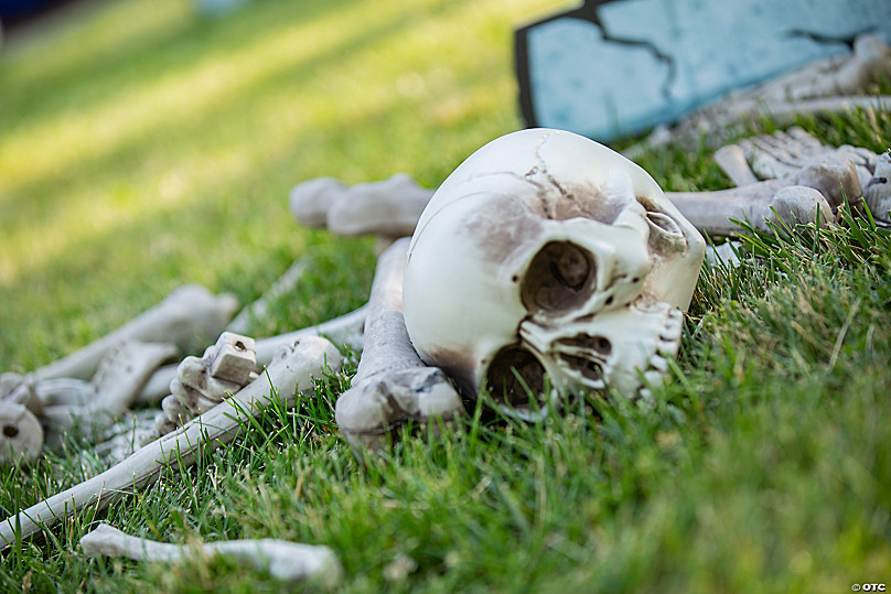 Seasons 17-1/2 in. Bags of Bones Halloween Decor 