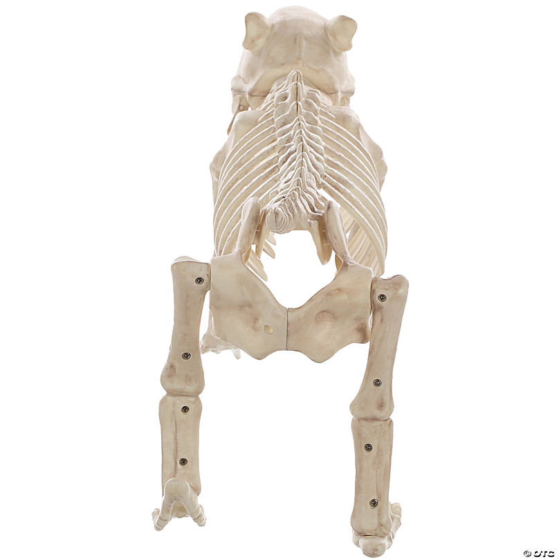 Bones the Dog Skeleton Halloween Decoration