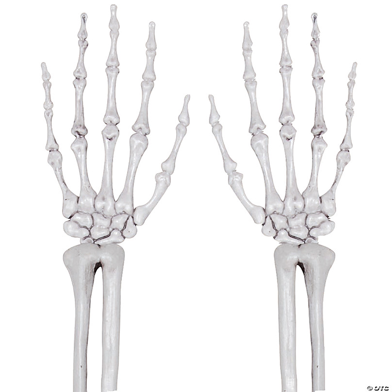 SDS3129 Skeletal Hand 8X8