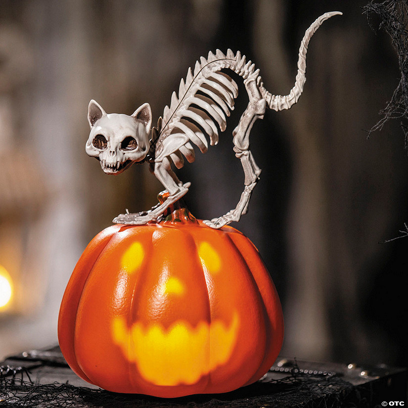 11 1/2&quot; Animated Pumpkin with Skeleton Cat Tabletop Halloween Decoration Image