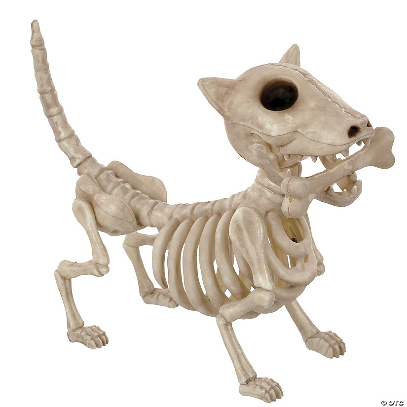 11" Digger The Skeleton Dog Decoration Image