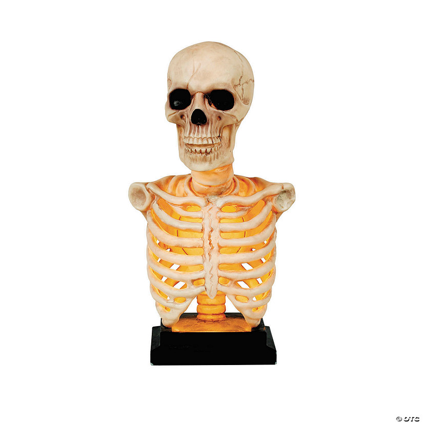 16" Skeleton Bust on Stand Halloween Tabletop Decoration Image