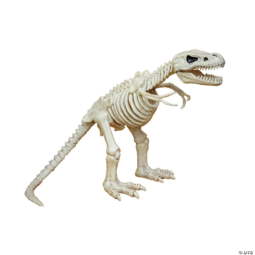 16&quot; T-Rex Skeleton Decoration Image