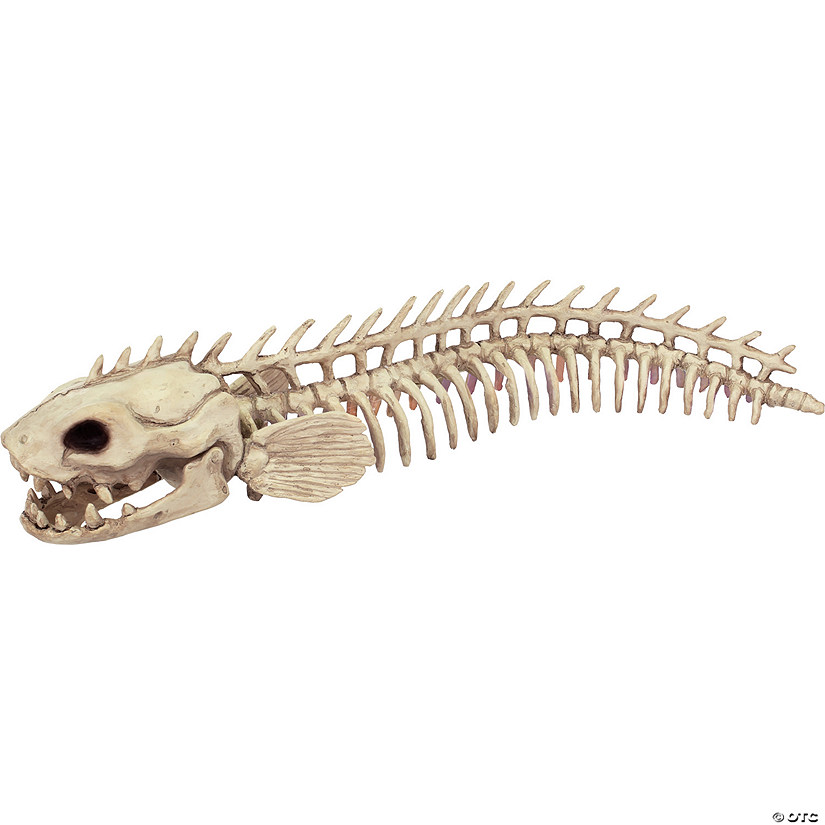 19 1/2" Skeleton Eel Prop Image