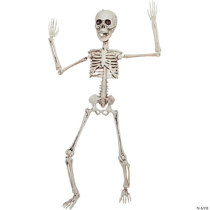 19" Poseable Skeleton Decoration Image