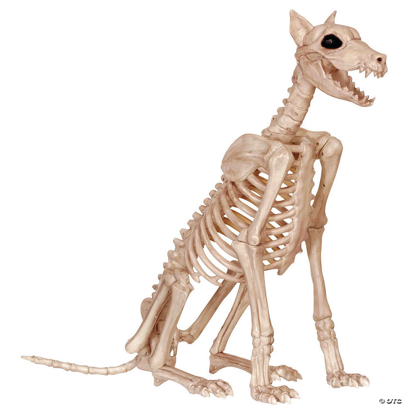 29" Doberman Skeleton Halloween Decoration Image