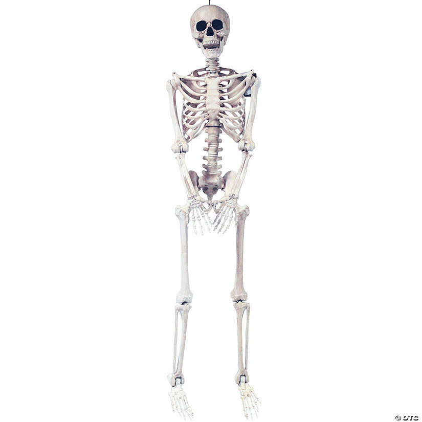 5 Ft. Skeleton Pose &amp; Hold Halloween Decoration Image