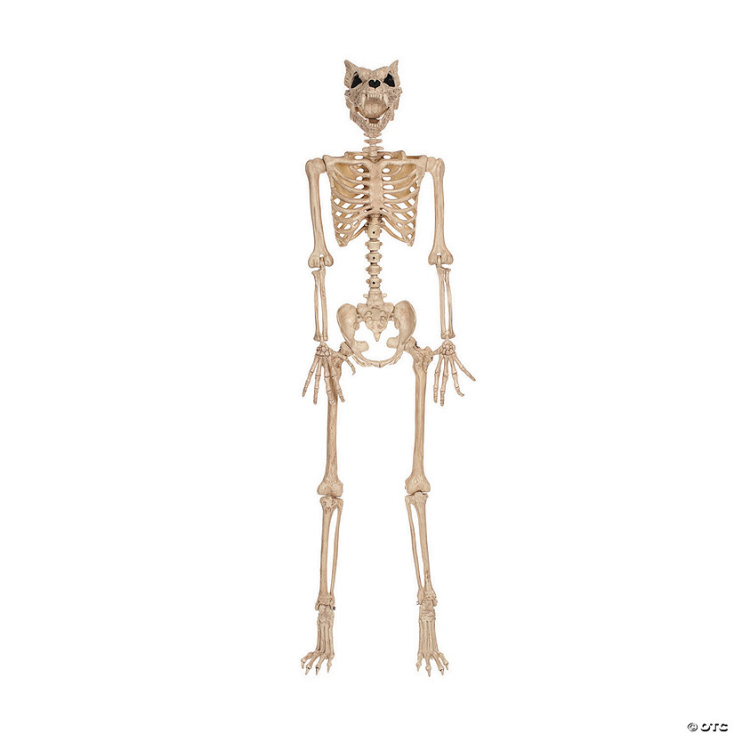 5 Ft. Werewolf Skeleton Halloween Decoration Image
