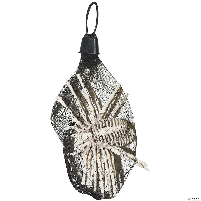 5" Spider Skeletons - Bag of 3 Image