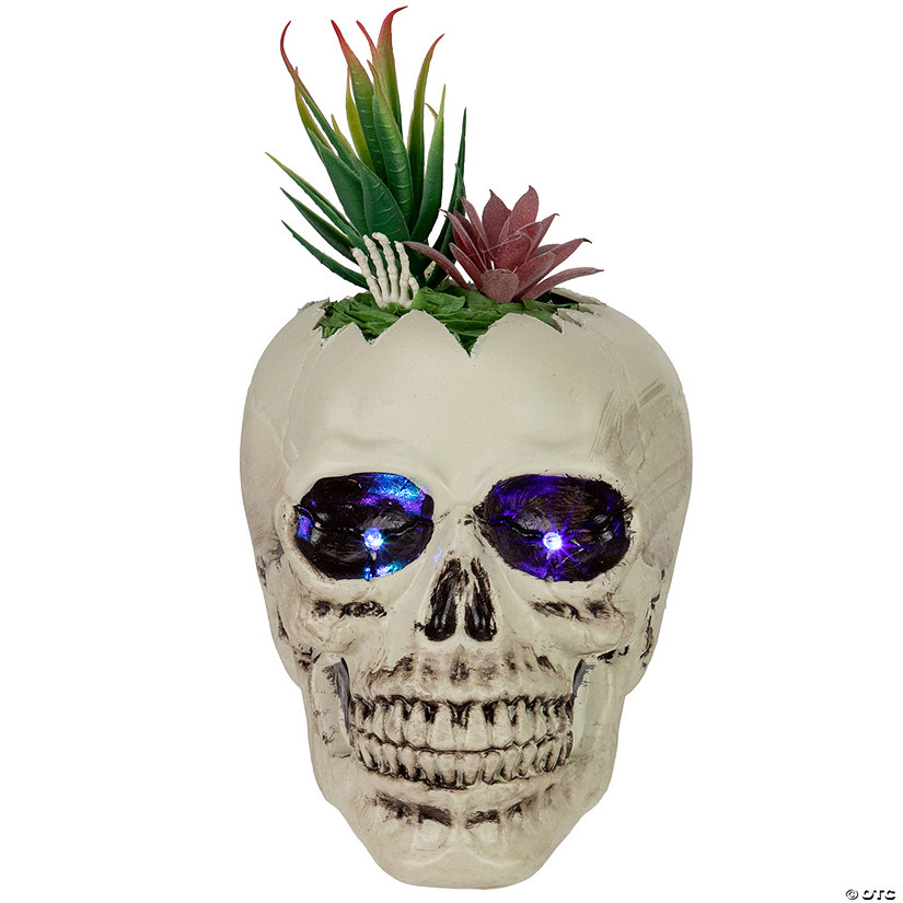 8.75" LED Lighted Succulent Halloween Skull Planter Image