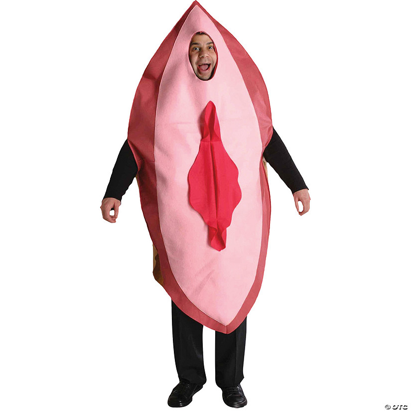 Adult Big Pink Costume Image