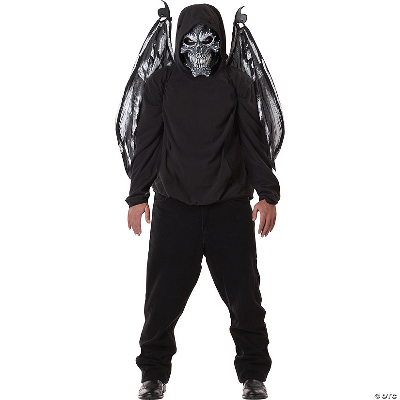 Adult Fallen Angel Mask And Wings Image