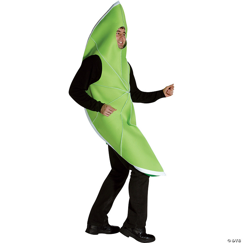 Adult Lime Costume Image