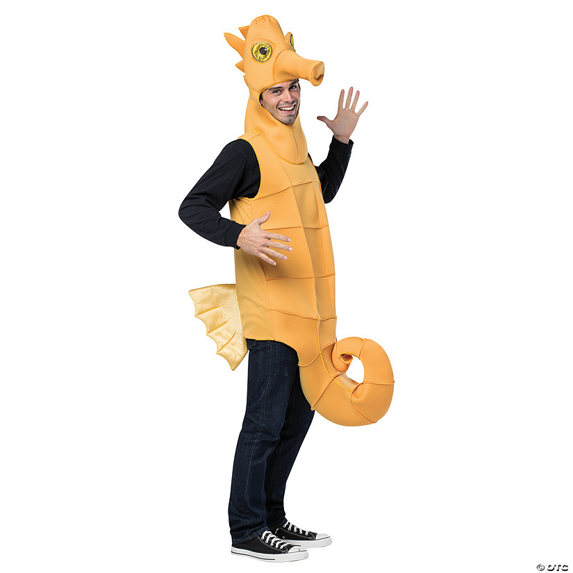 Adult Seahorse Costume Image