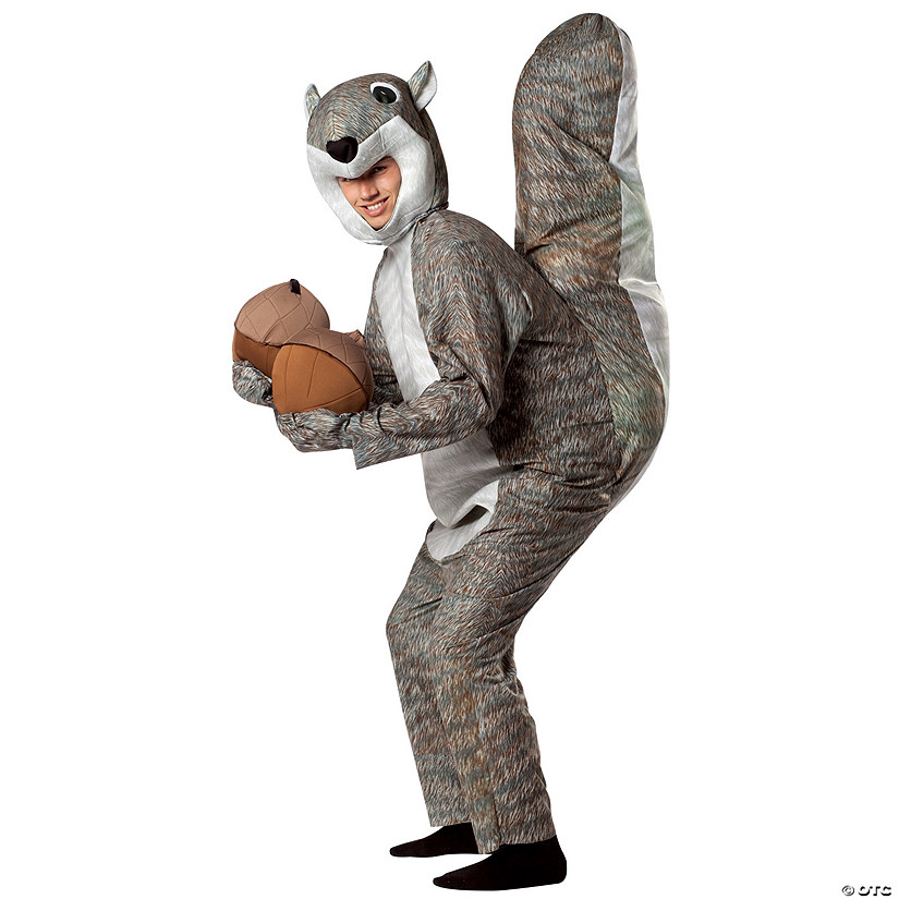 Adult Squirrel Costume Image