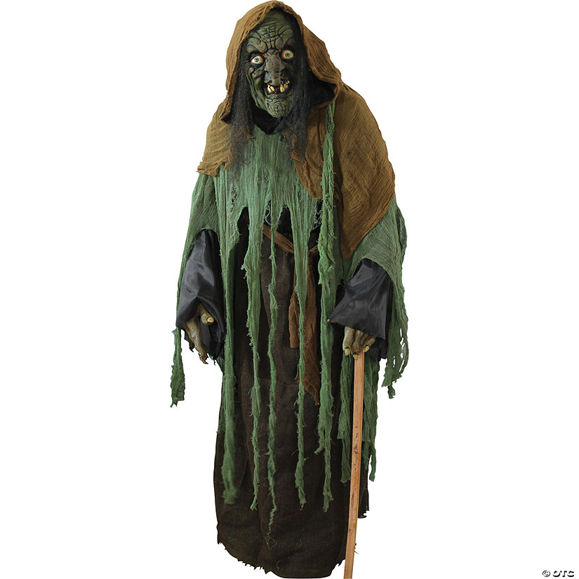 Adult Witch Ghoul Costume Image