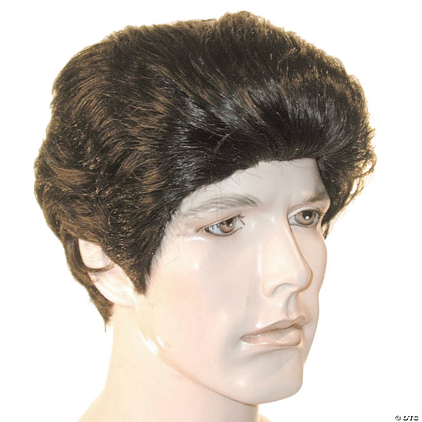 Adults Bargain 50's Rocker Short-Haired Wig Image