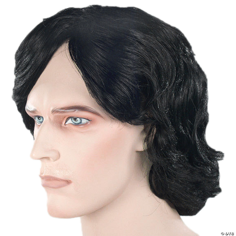 Adults Black Bargain Shag Wig Image