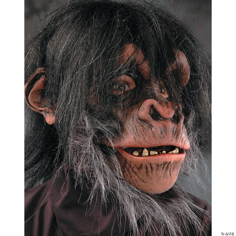 Adult's Chimp Mask Image