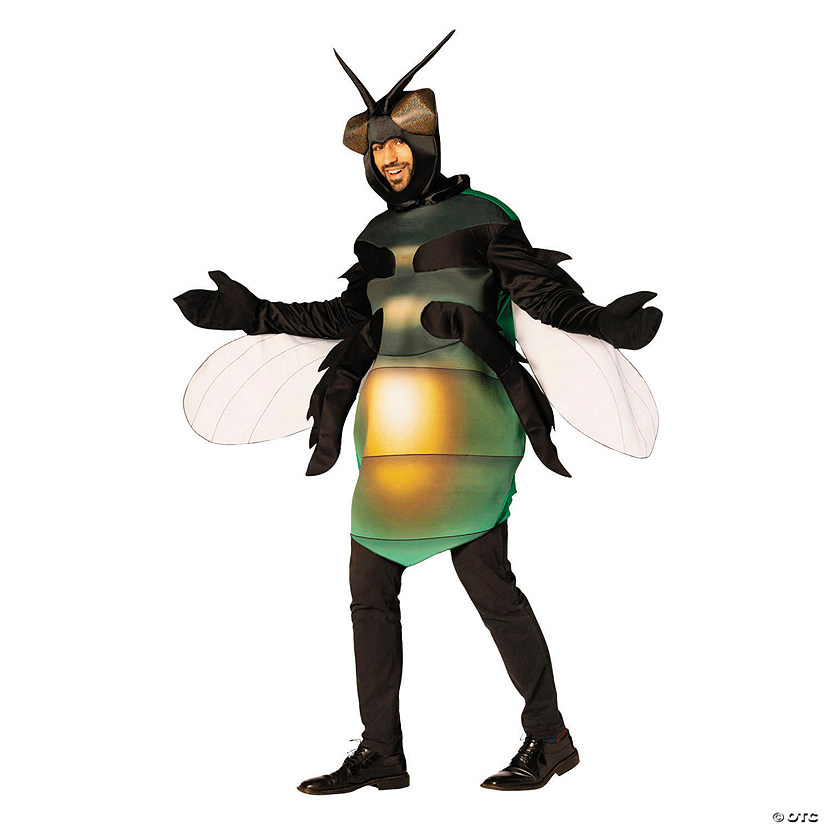 Adults Fly Tunic Costume - One Size Image