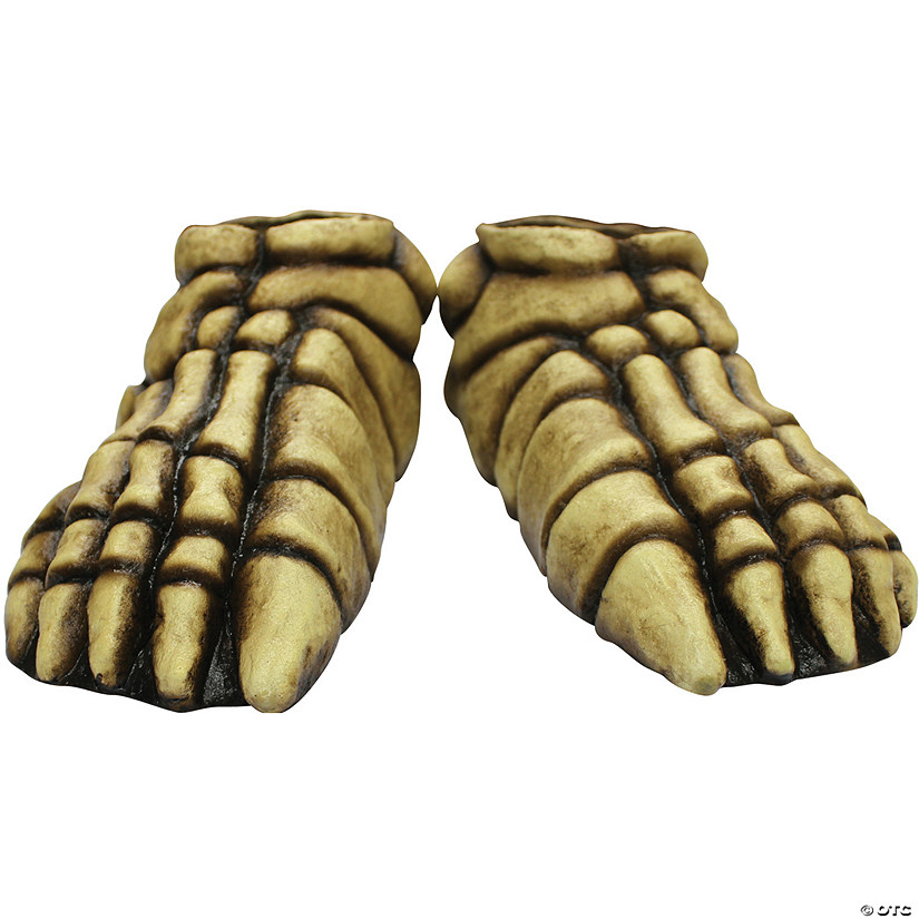 Adults Skeleton Feet Image