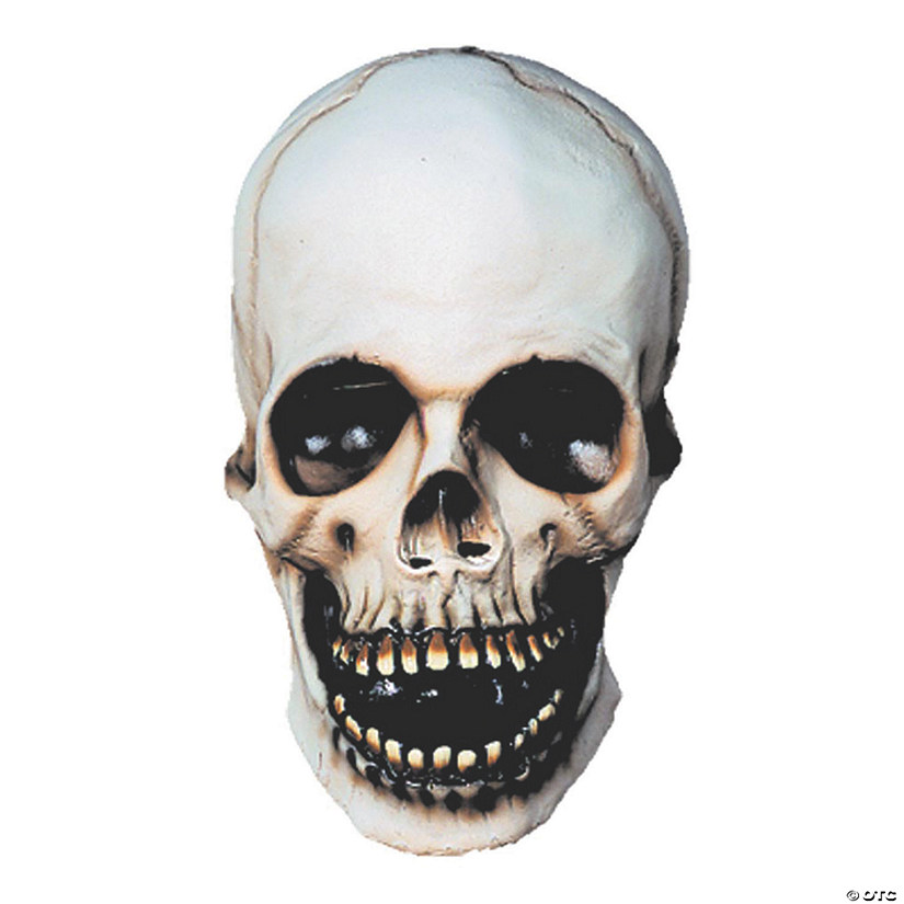 Adult's Skull Halloween Mask Image