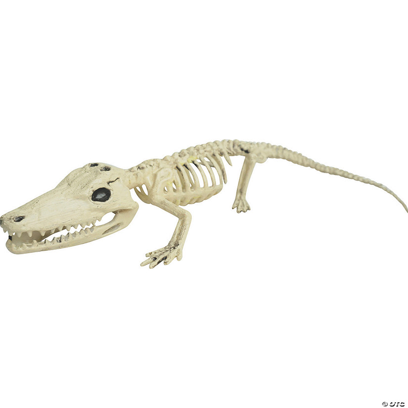 Alligator Skeleton Halloween Decoration Image