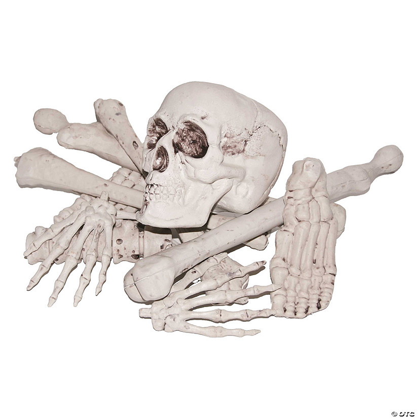 Bag Of Bones Image