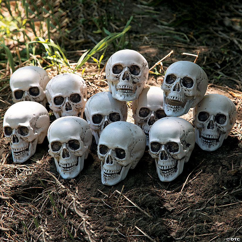 Bag of Skulls Halloween Decorations Image
