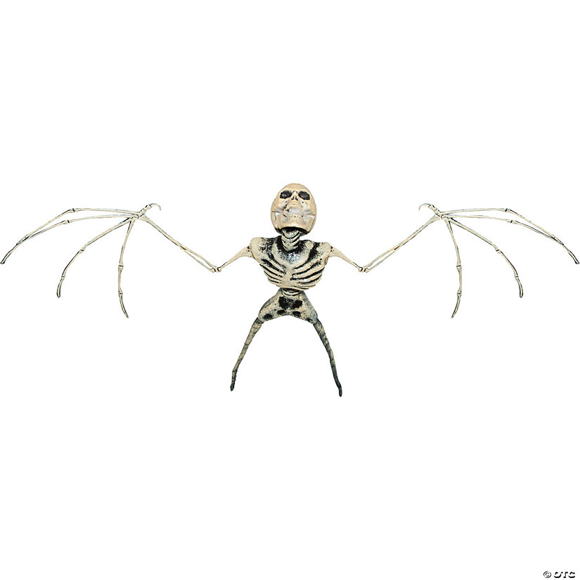 Bat Skeleton Image