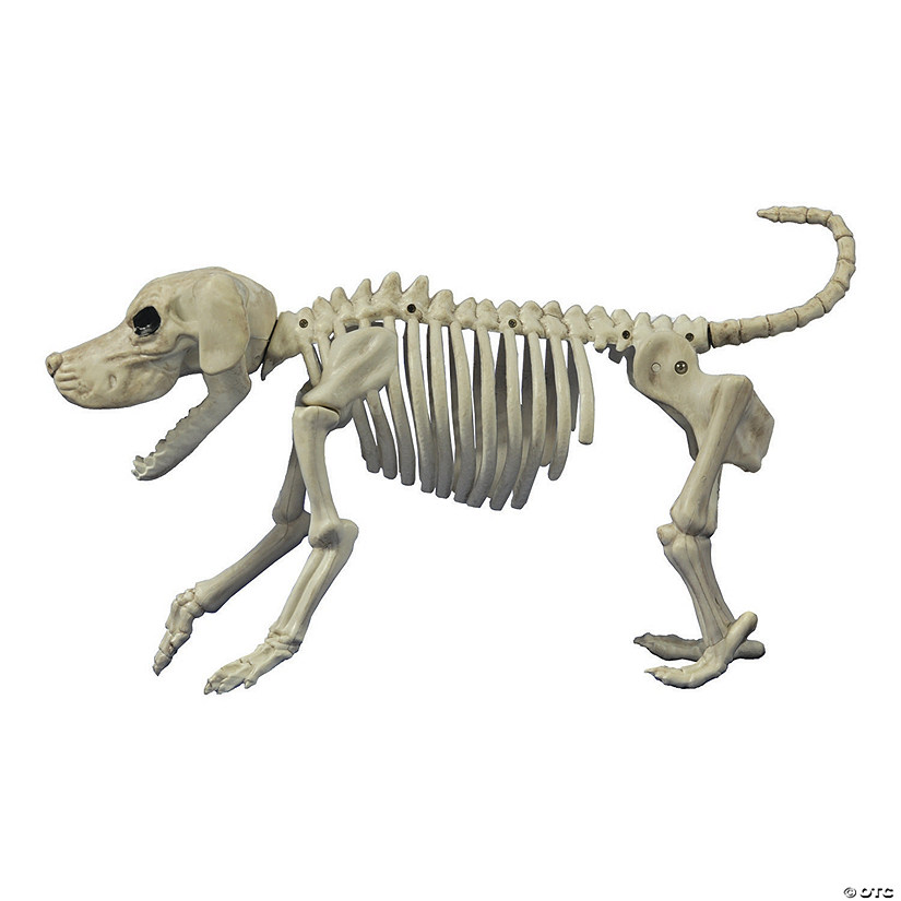 Beagle Bonez Dog Skeleton Halloween Decoration Image