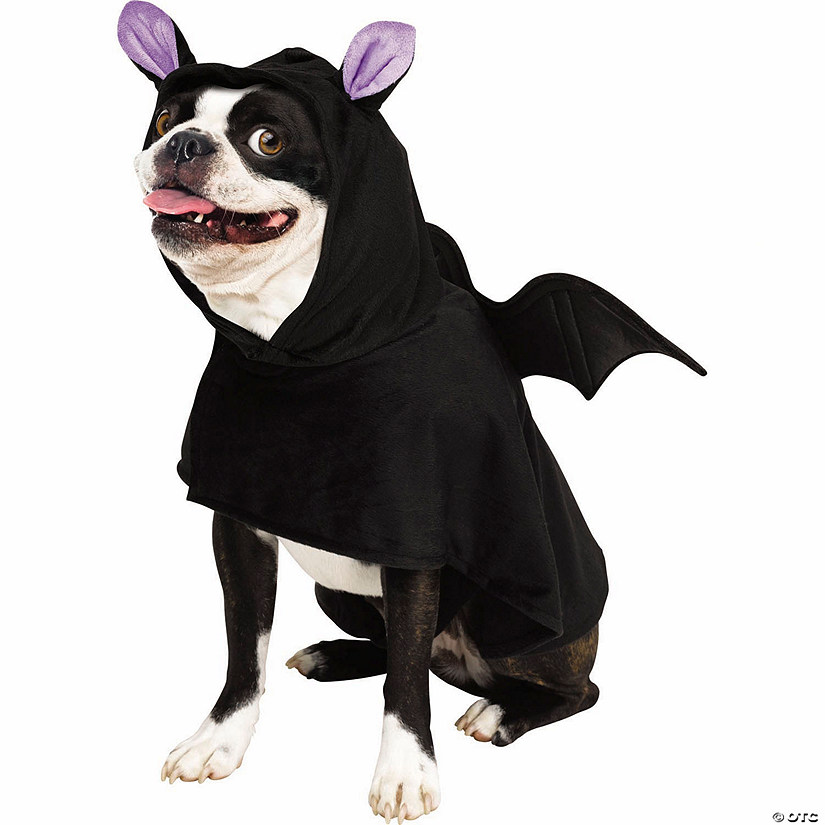 Black Bat Poncho Pet Costume Image