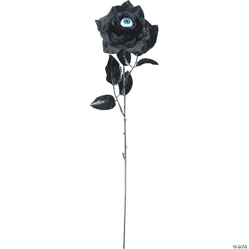 Black Rose With Eye Hairpin Image