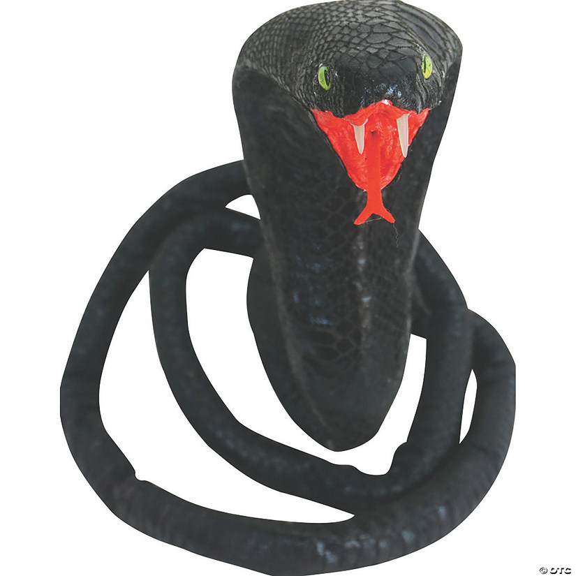 Black Snake Image