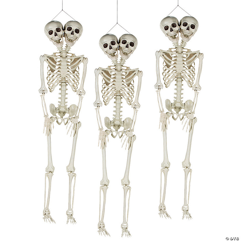 Bulk Two-Headed Life-Size Posable Skeleton Halloween Decorations Image
