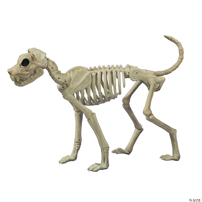 Buster Bonez Dog Skeleton Halloween Decoration Image