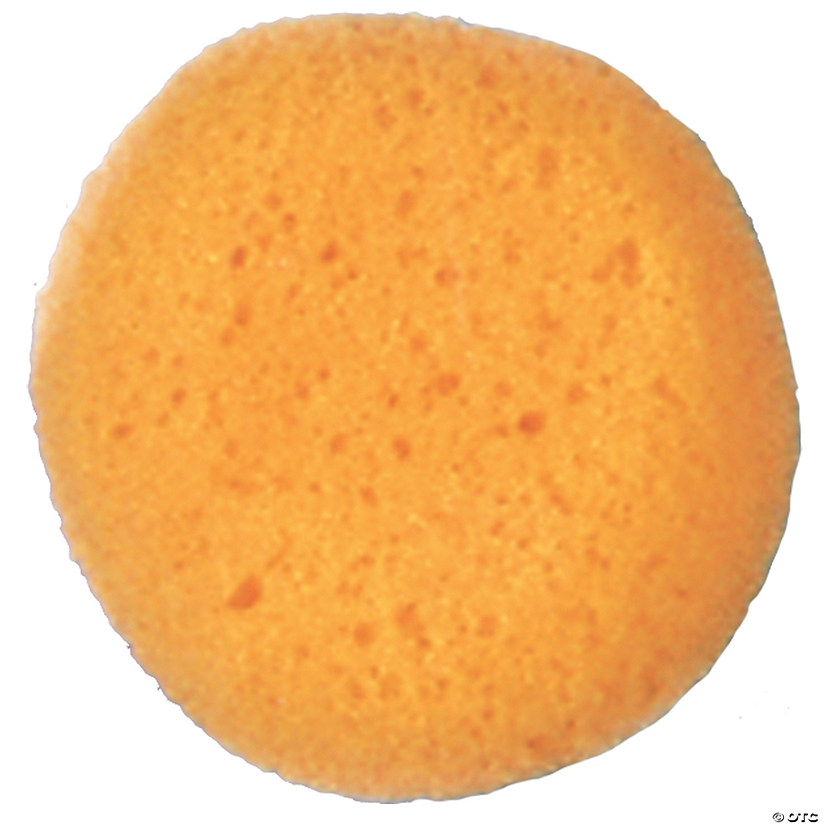 Cosmetic Sponge Image