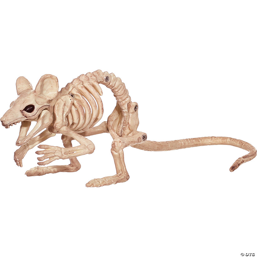 Creepy Crouching Mouse Image