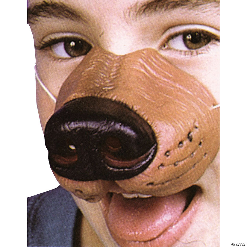 Dog Nose Image