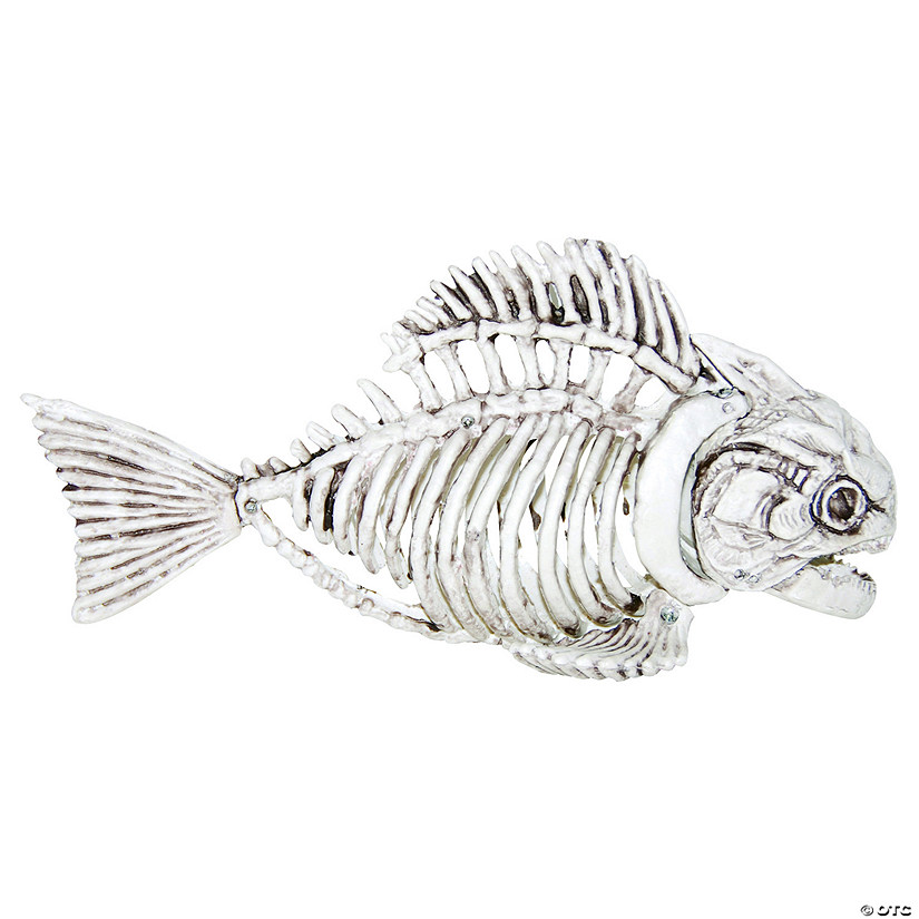 Fish Skeleton Decoration Image