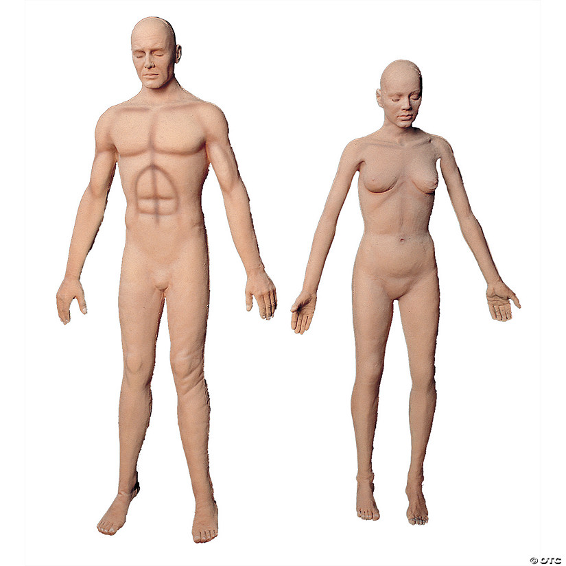 Flex Body Male Image