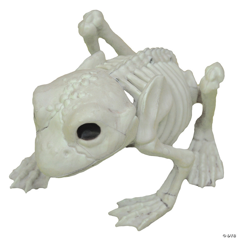 Frog Skeleton Decoration Image