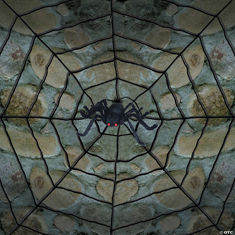 Giant Spider with Web Decoration Image