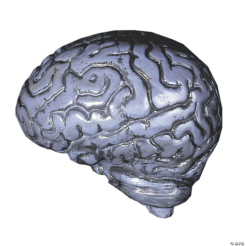 Grey Human Brain Halloween Decoration Image