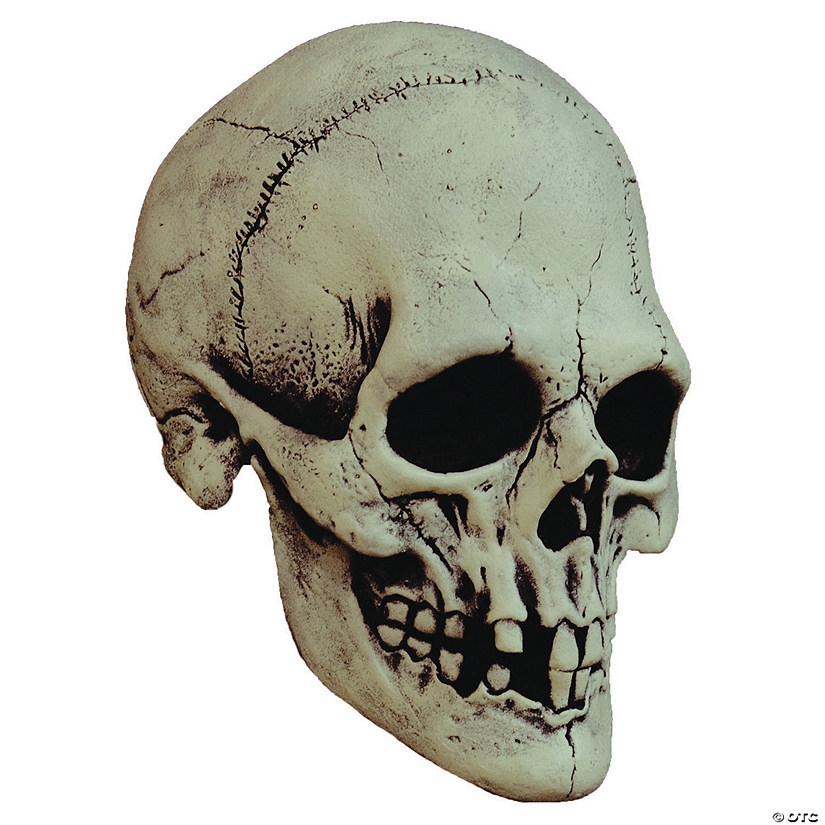 Halloween Nightowl Skull White Mask Image