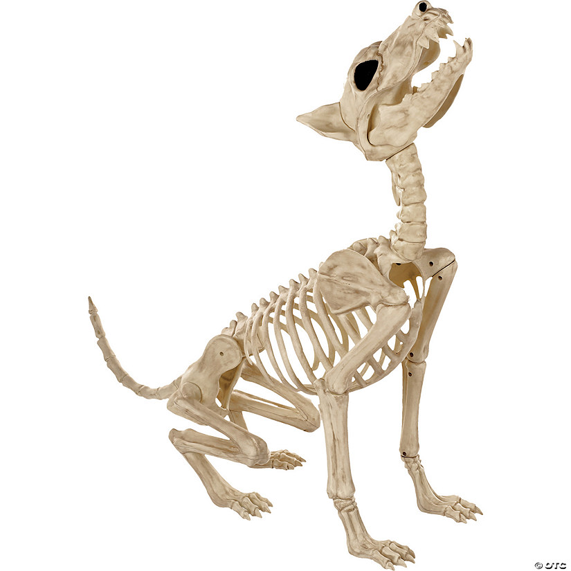 Howl At The Moon Wolf Skeleton Decoration Image