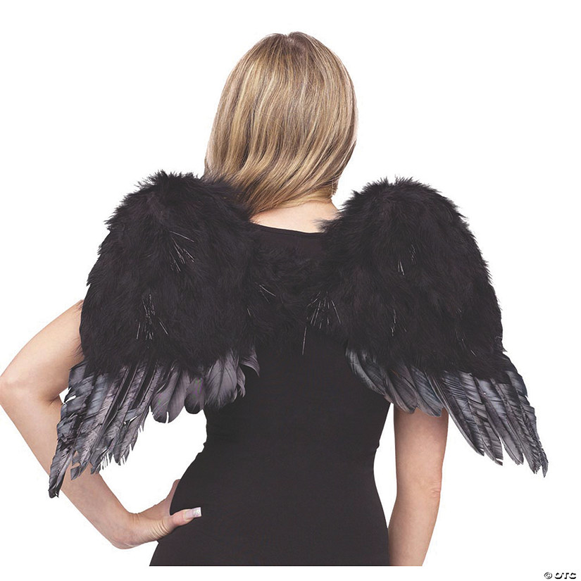 Kid&#8217;s Black Feather Angel Wings Image