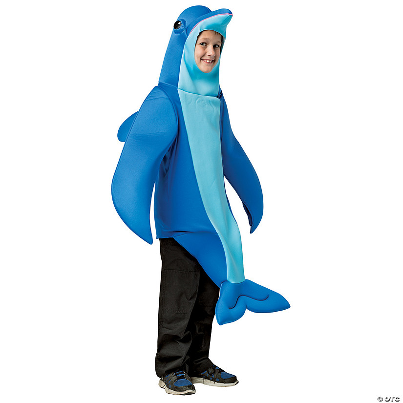 Kids Dolphin Costume Image