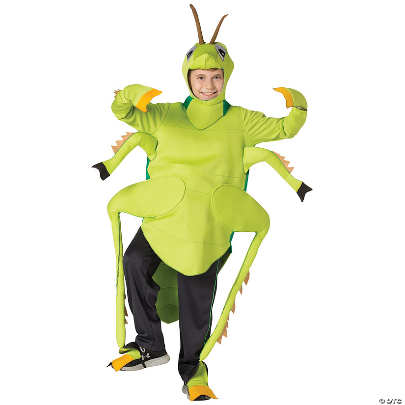 Kids Grasshopper Costume Image