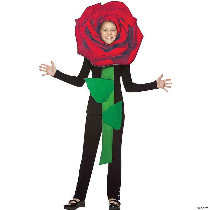 Kids Red Rose Flower Costume Image